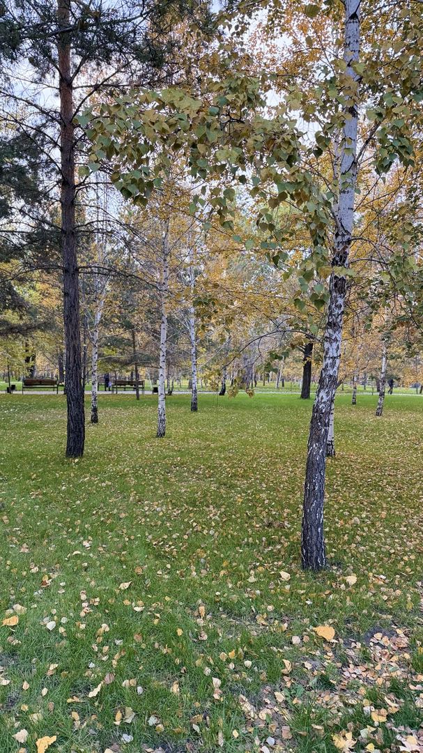 Сейил сүрөтү