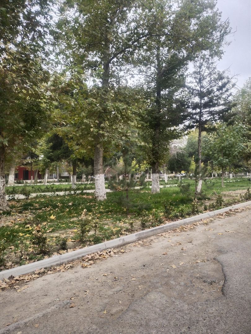 Sayr fotosi