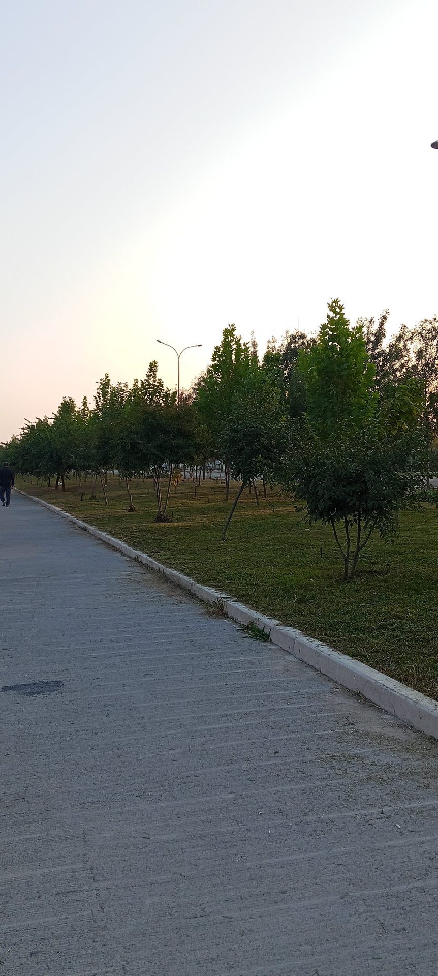 Walk photo