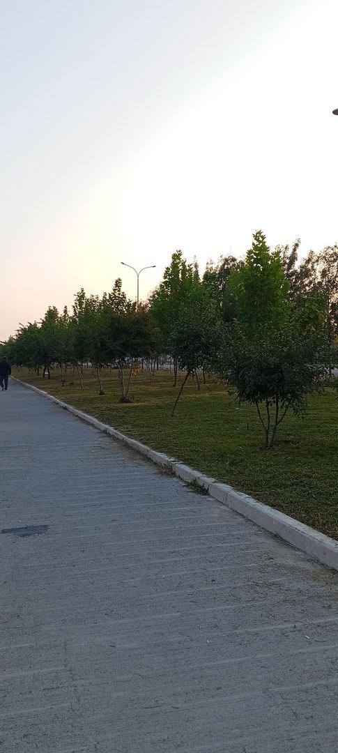 Walk photo