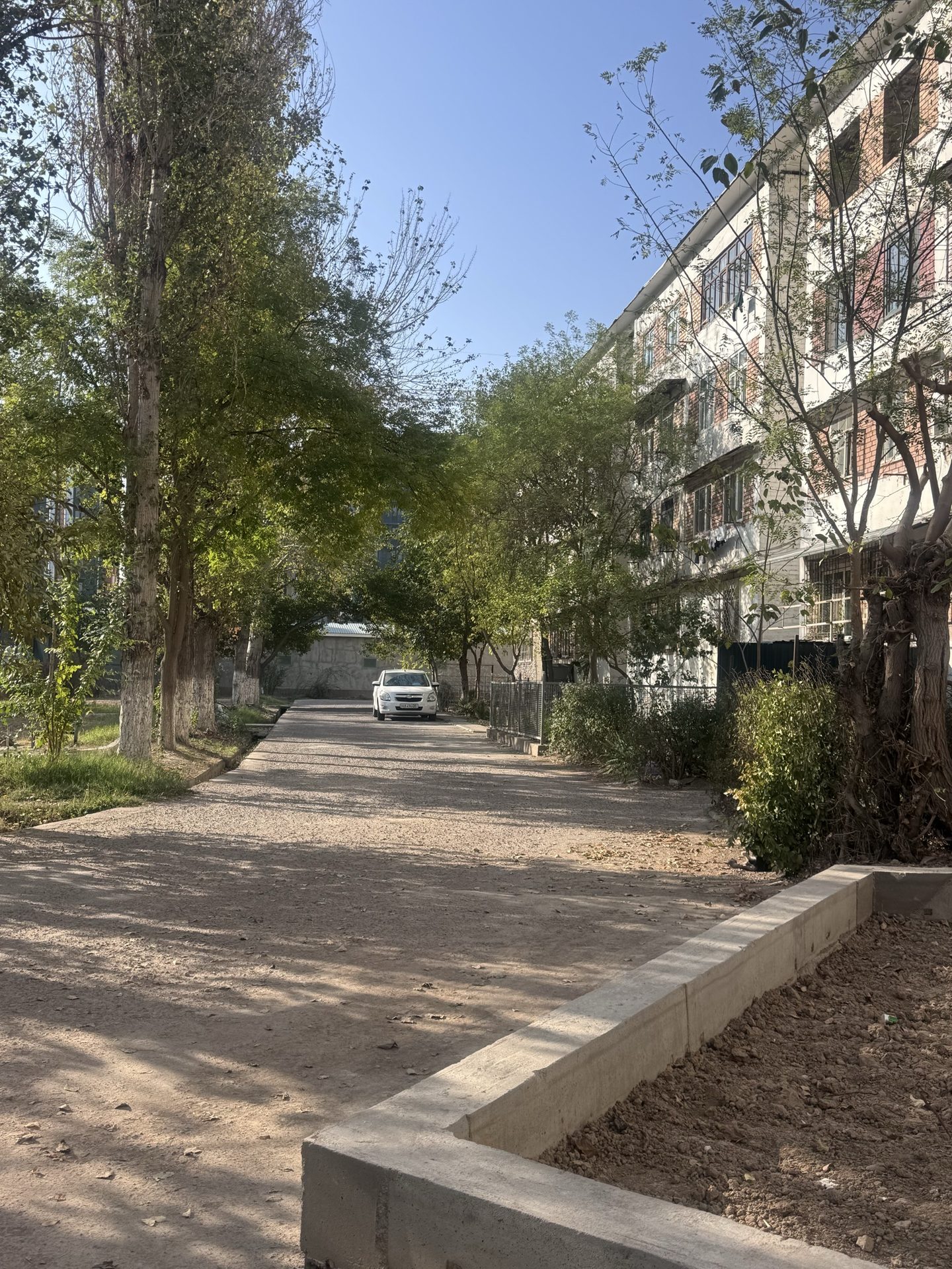 Тонги сайр куёли кун
