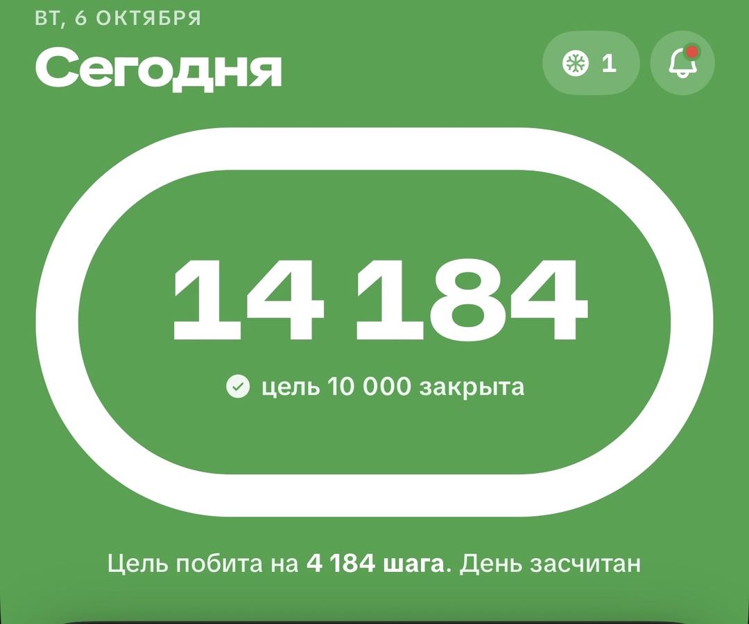 Акси сайругашт