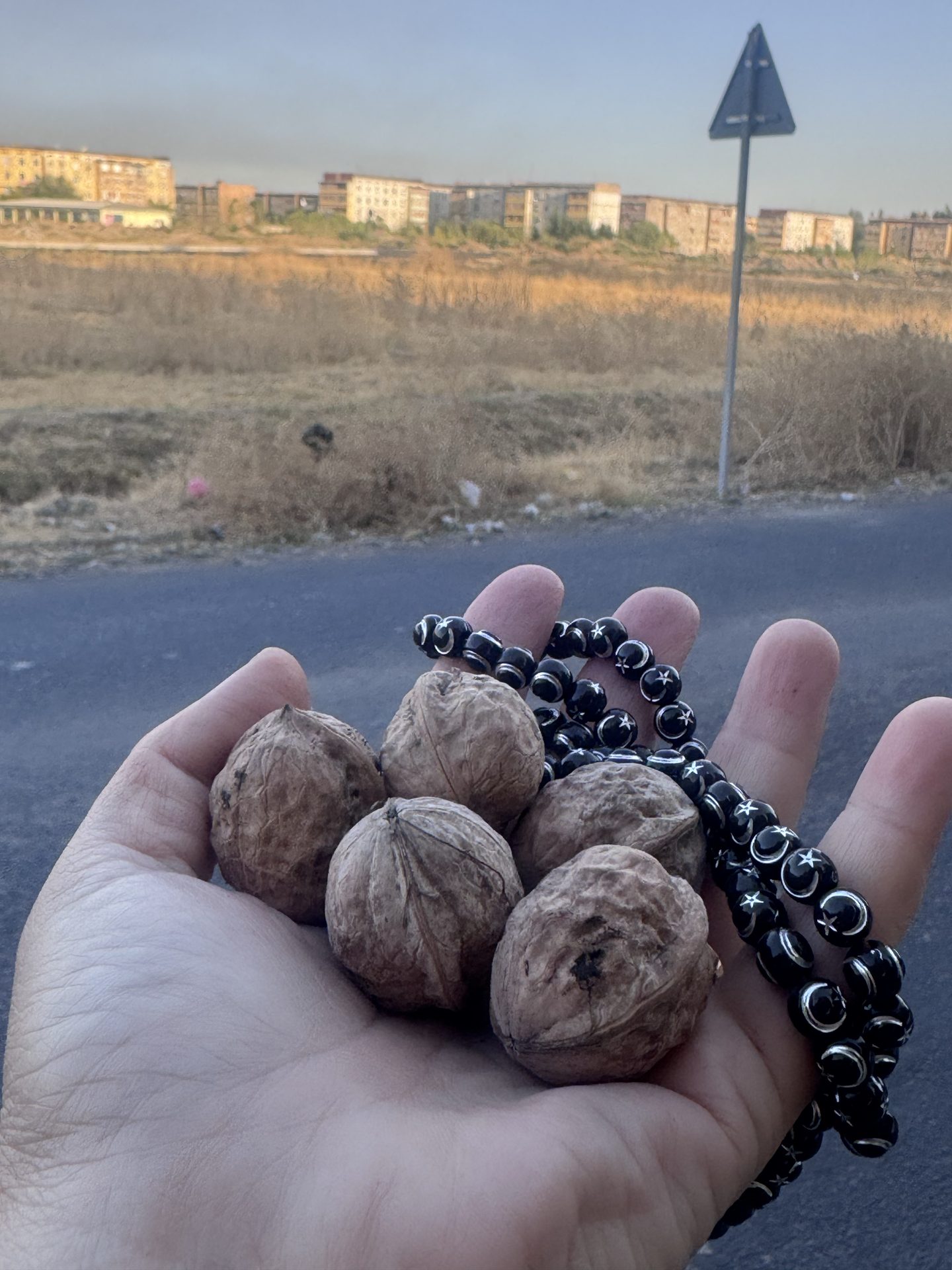 Тонги сайр
