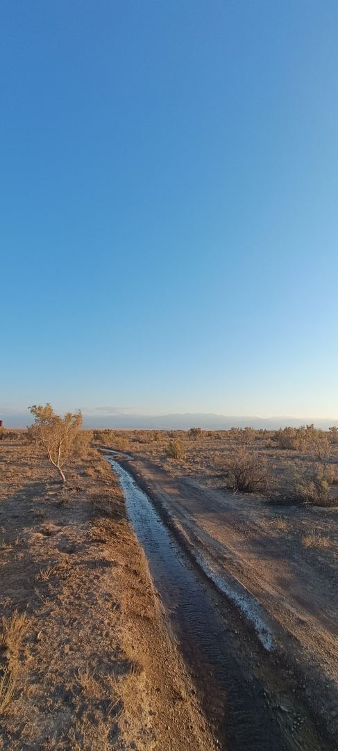 Walk photo
