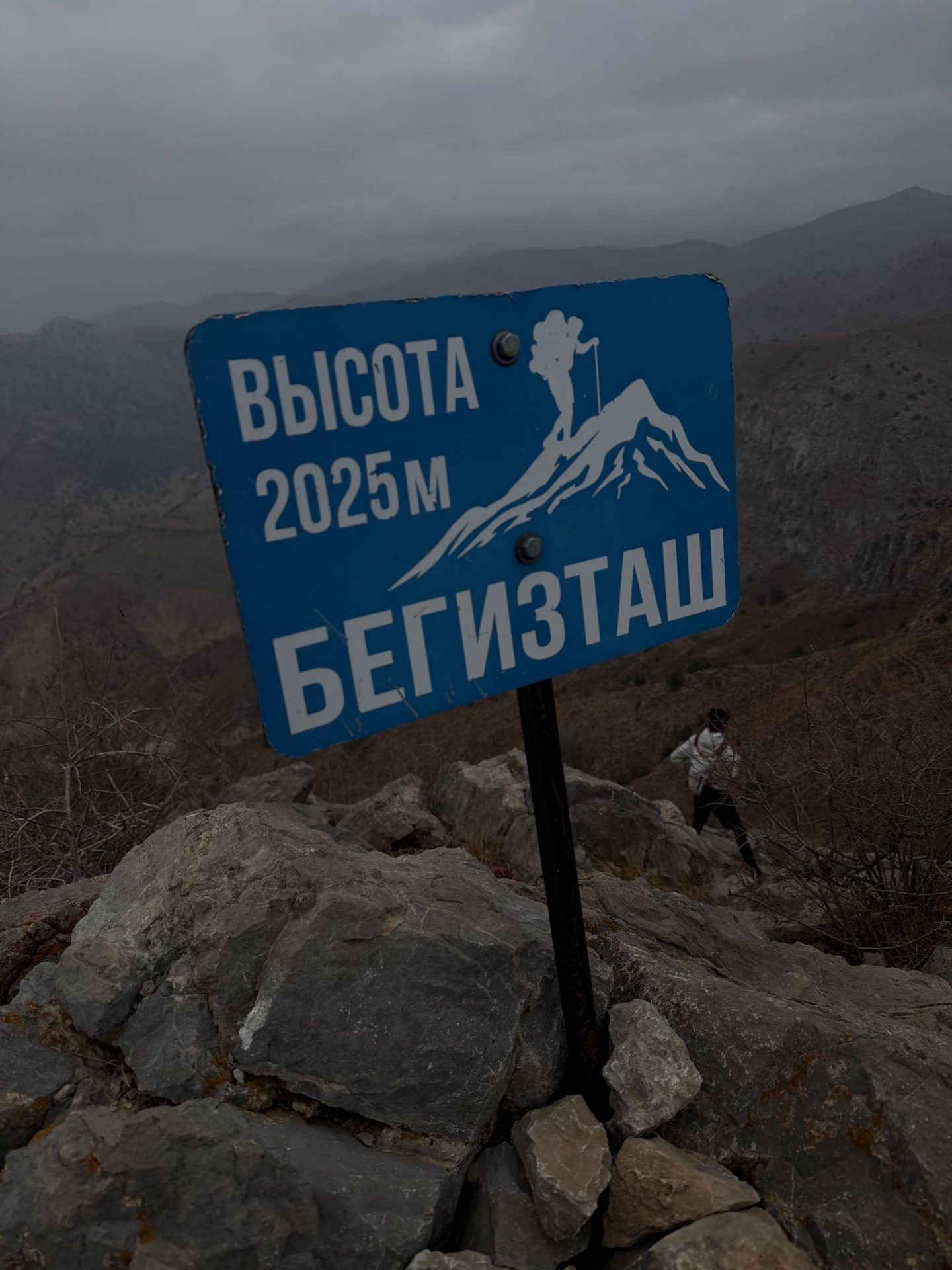 Акси сайругашт