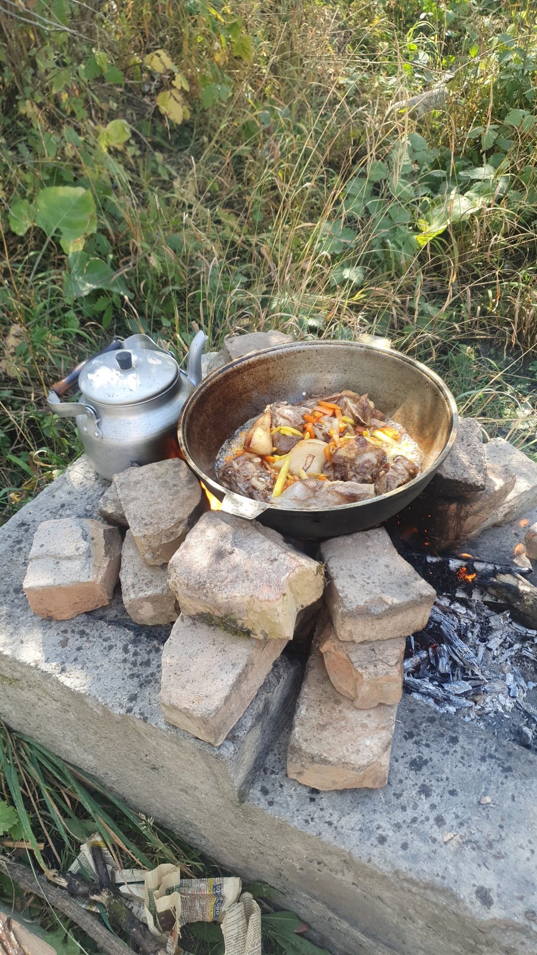 Акси сайругашт