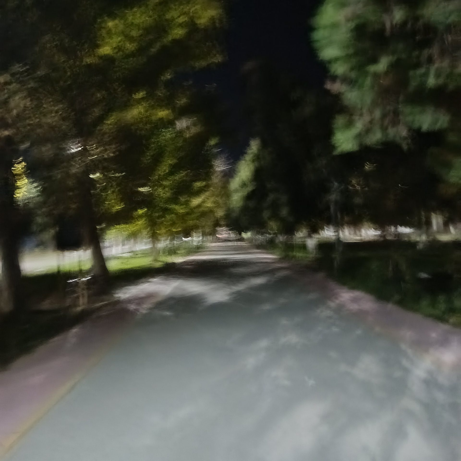 Сәйли сүрити