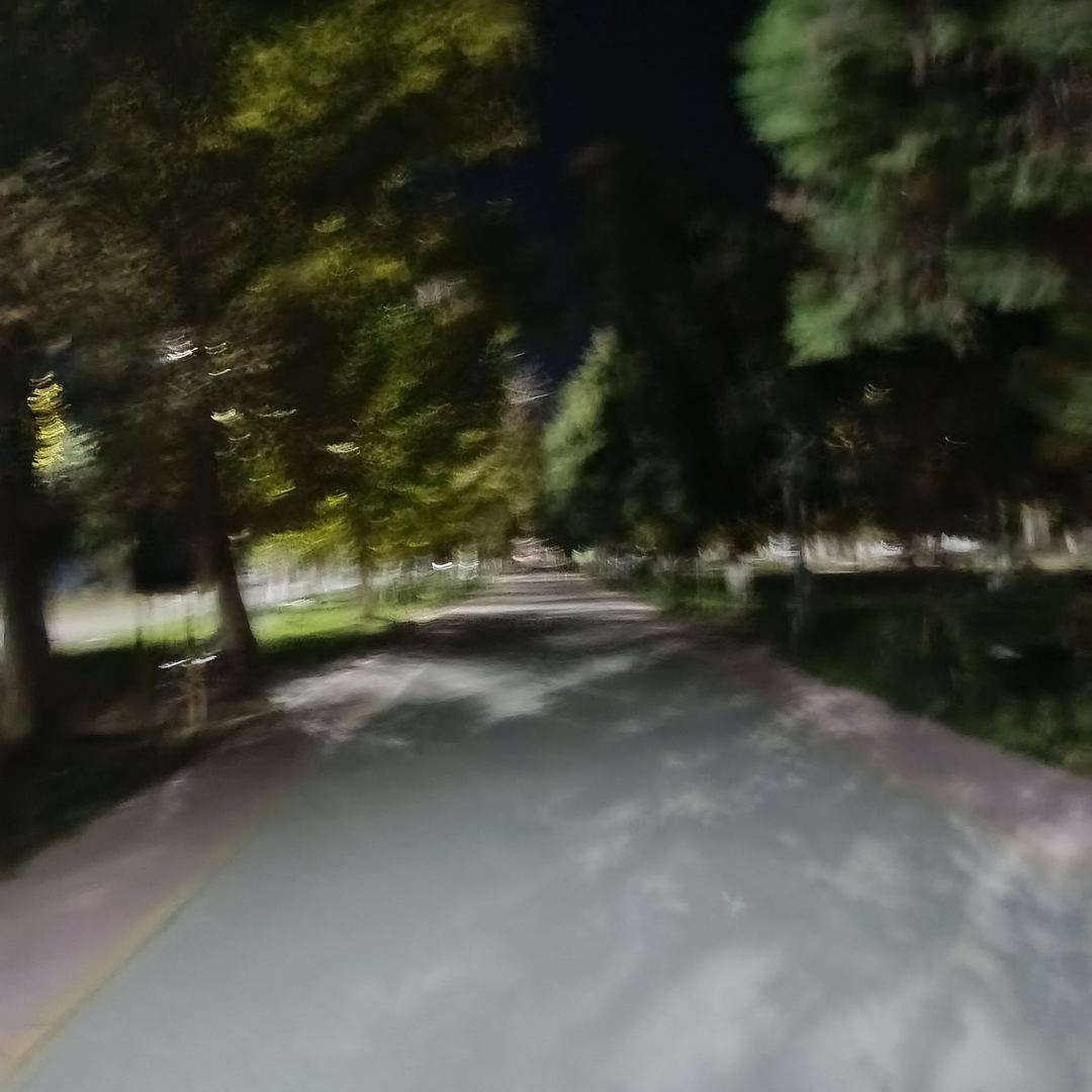 Сәйли сүрити