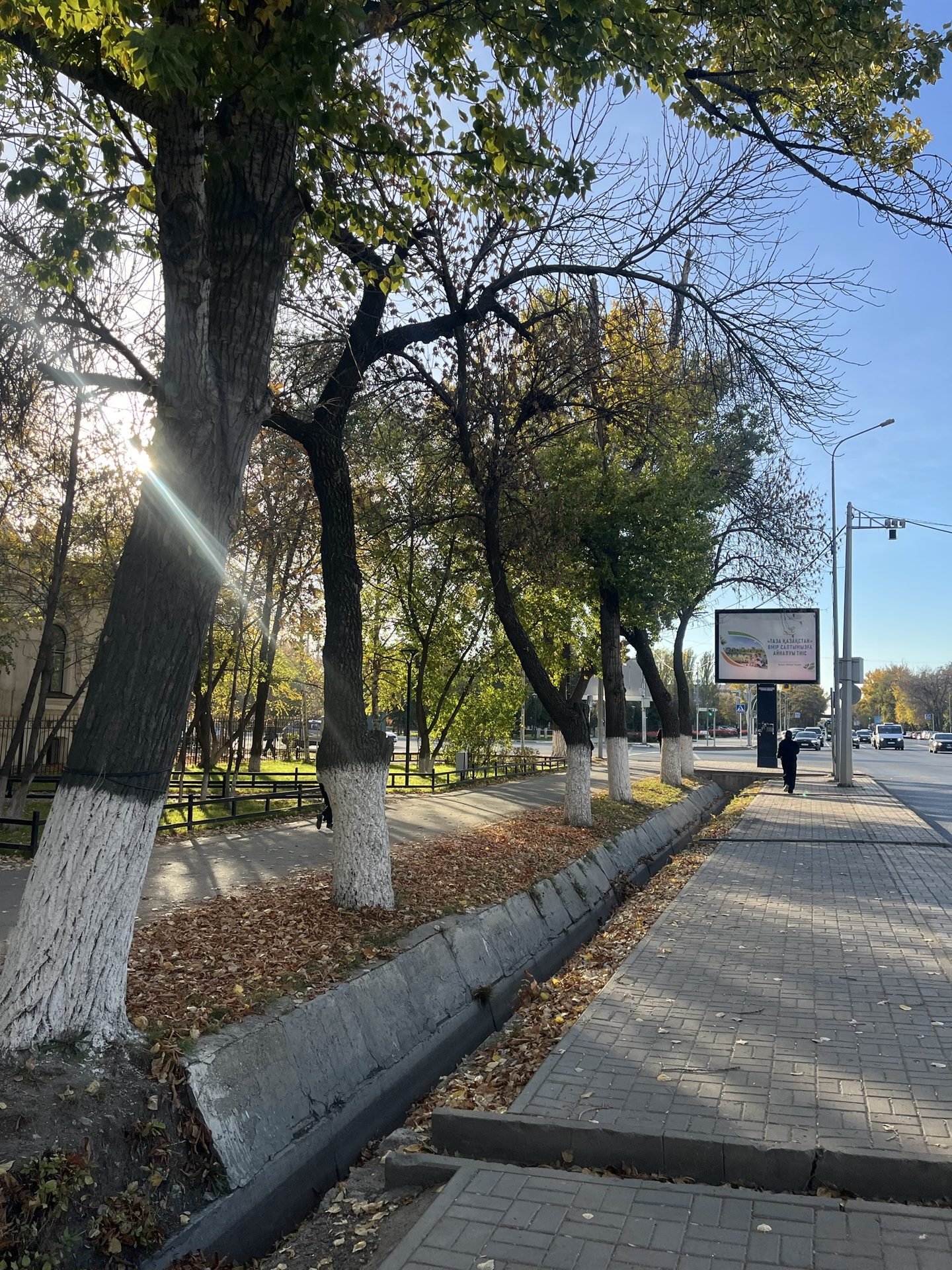 Сәйли сүрити