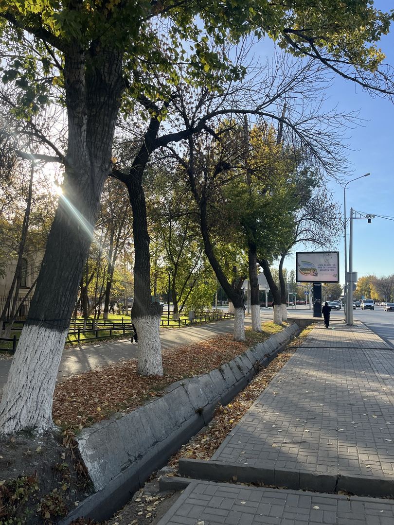 Сәйли сүрити
