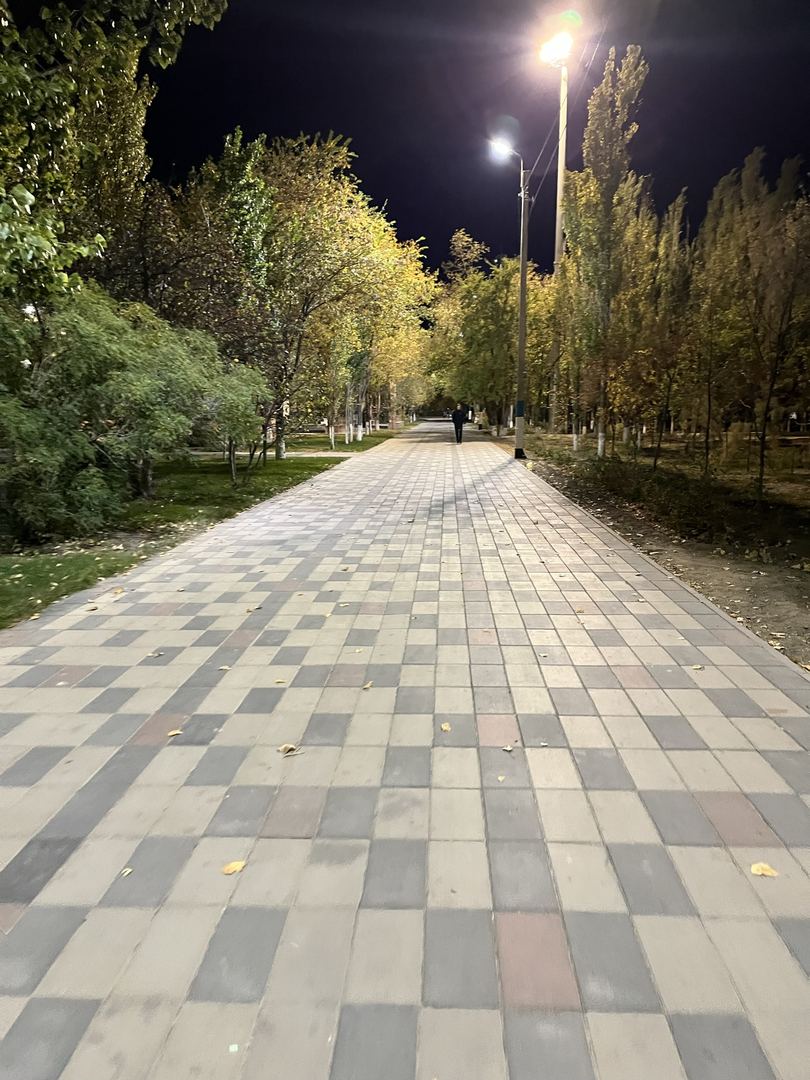 Сәйли сүрити