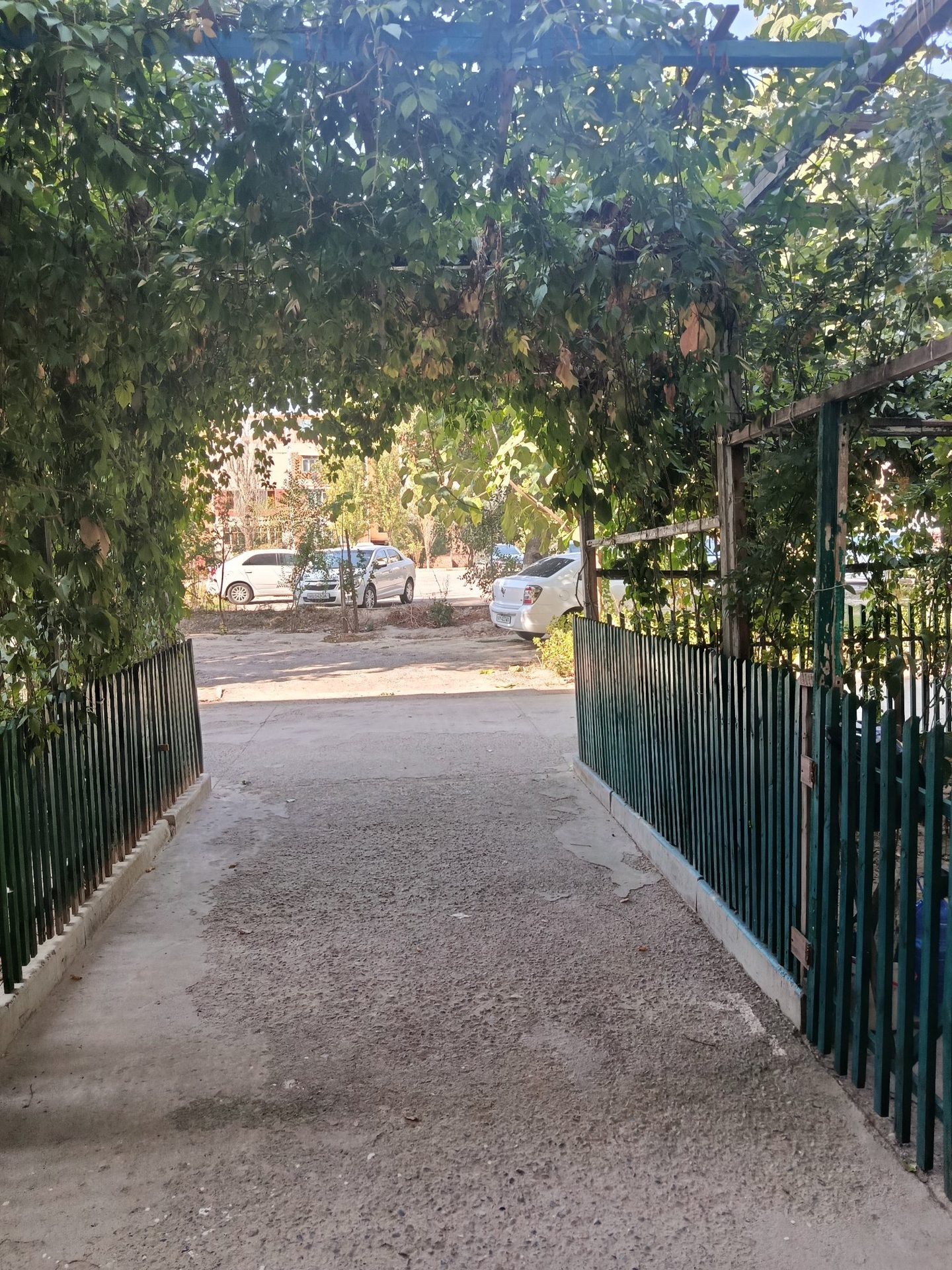 Sayr fotosi
