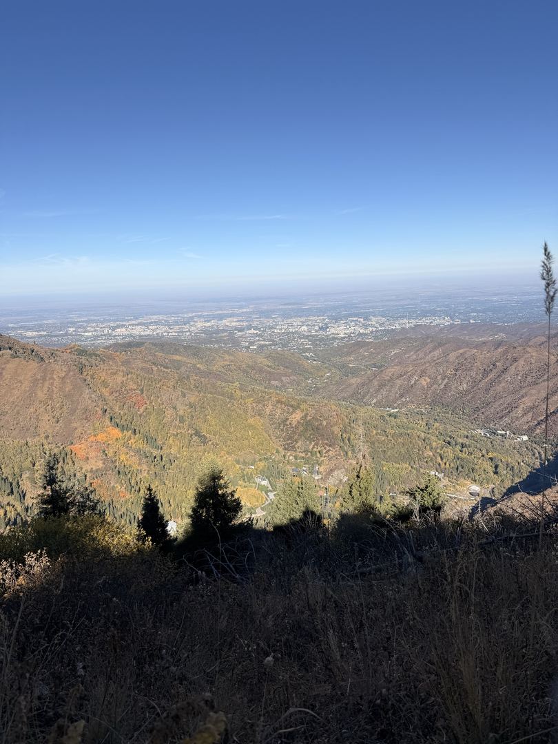 Гора Мохнатка 🏔️