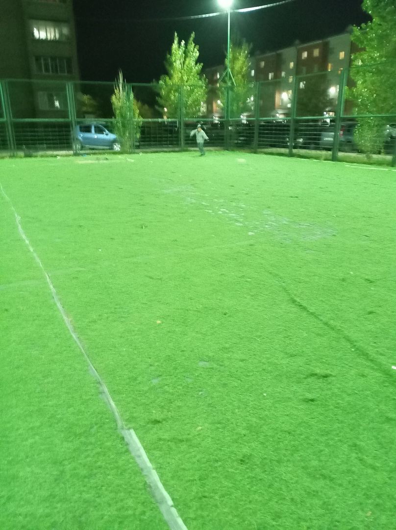 Прогулка удалась