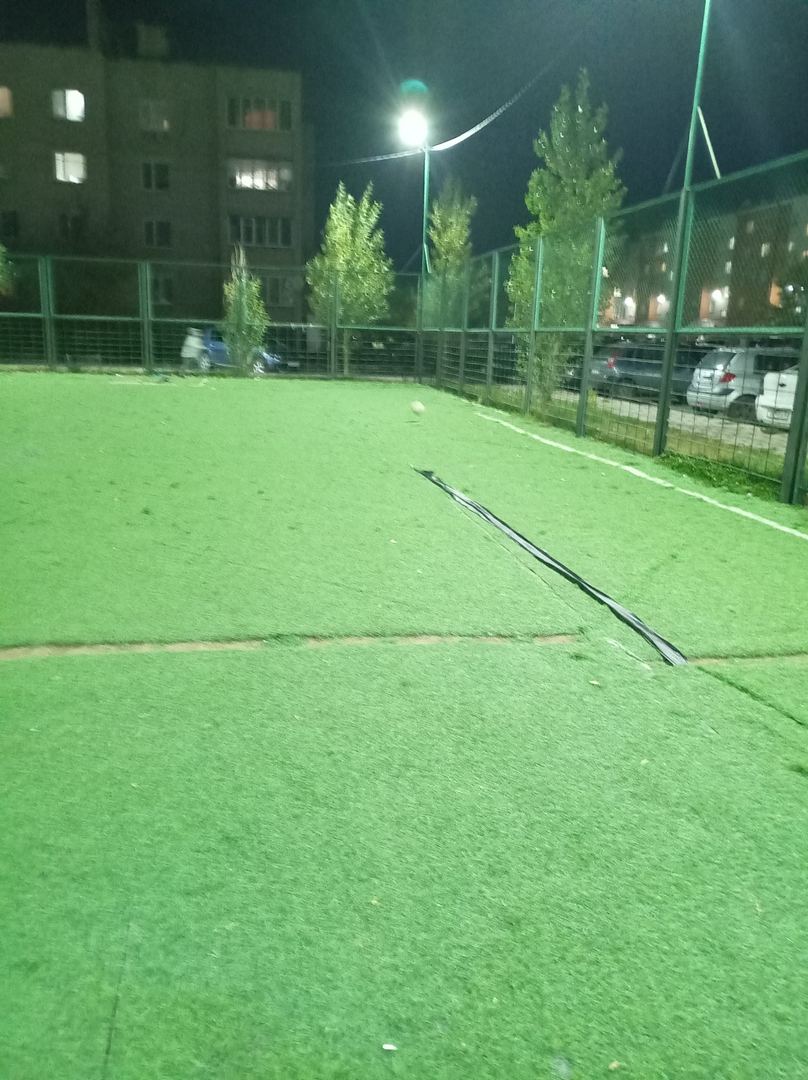 Прогулка удалась