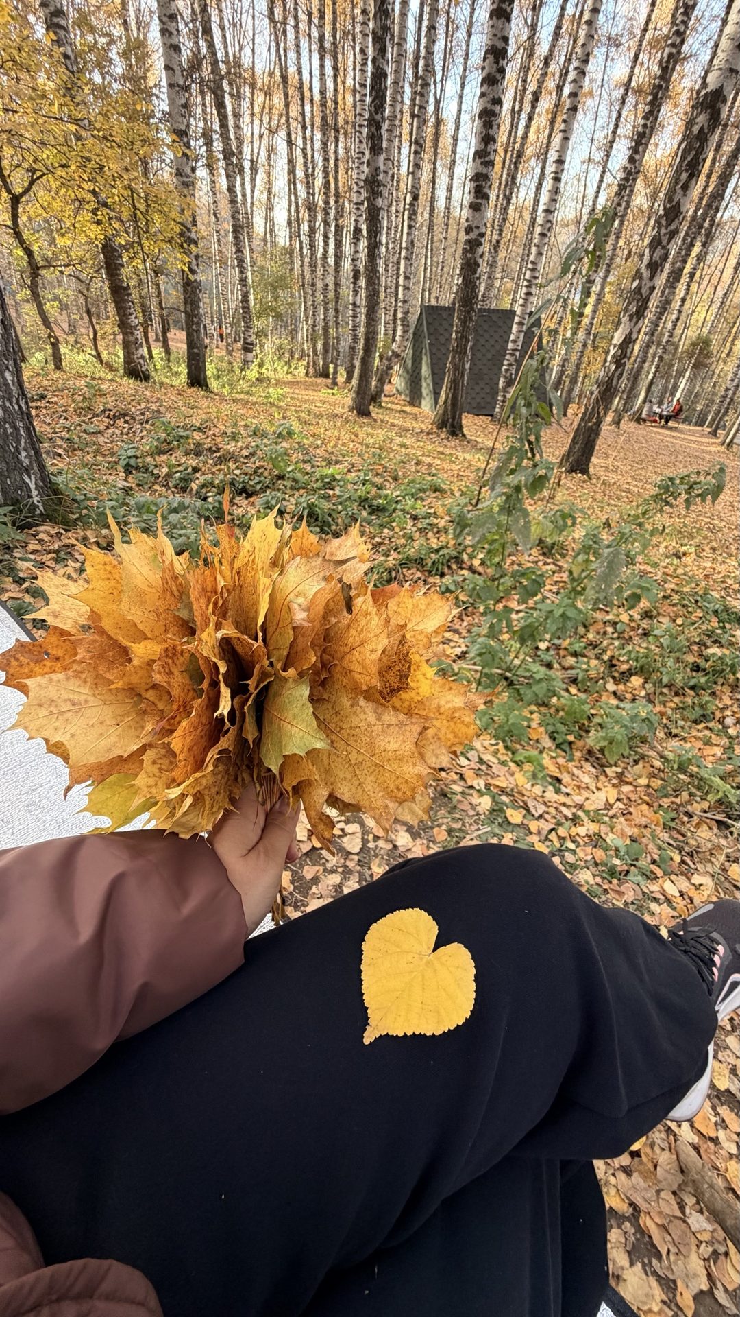 Березовая роща
