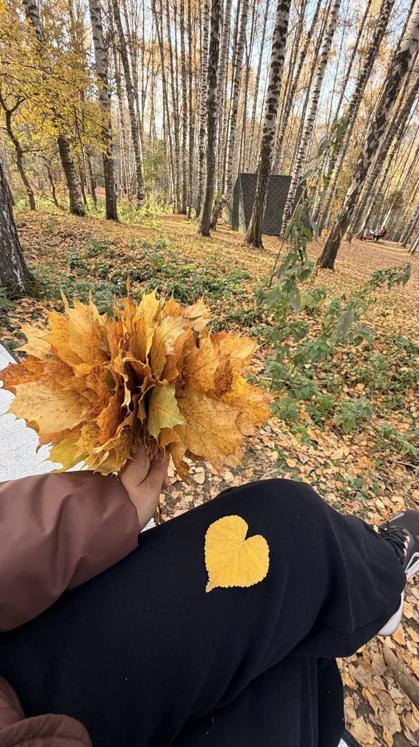Березовая роща
