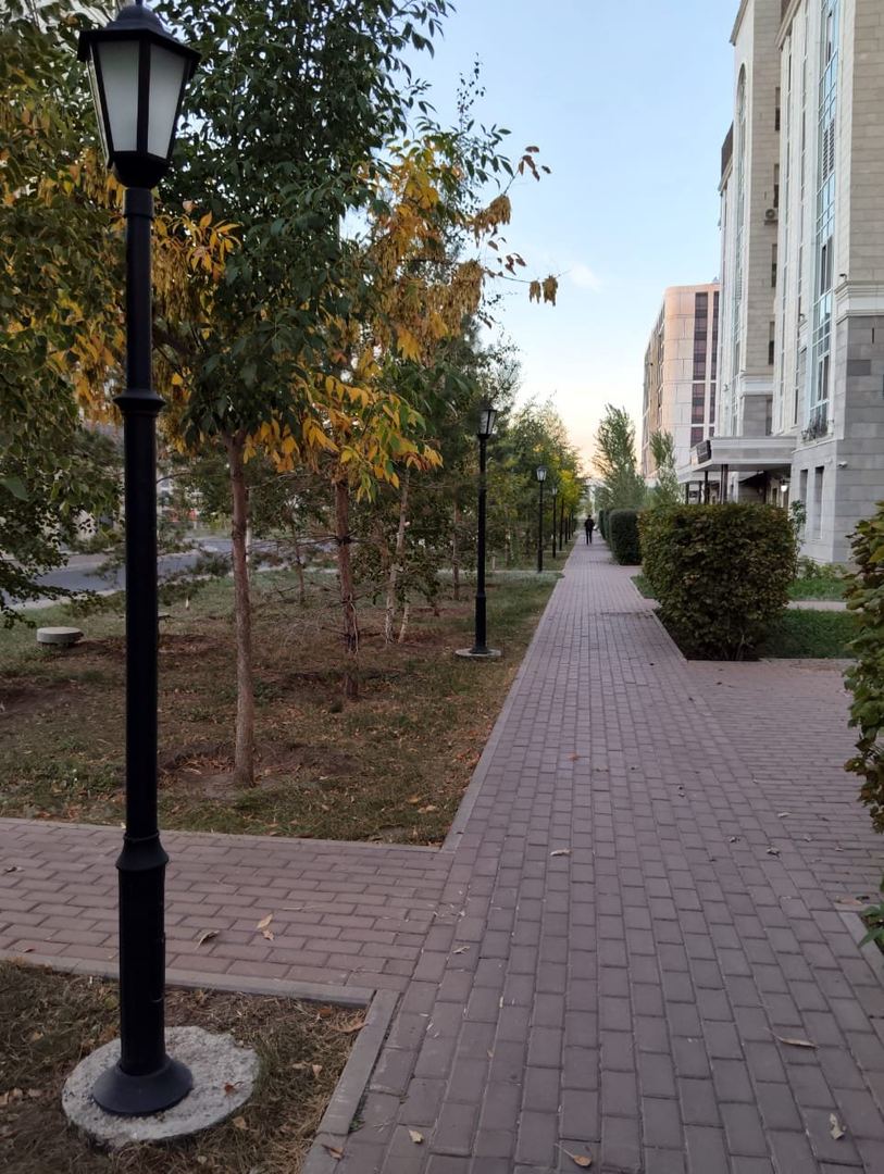 Сәйли сүрити