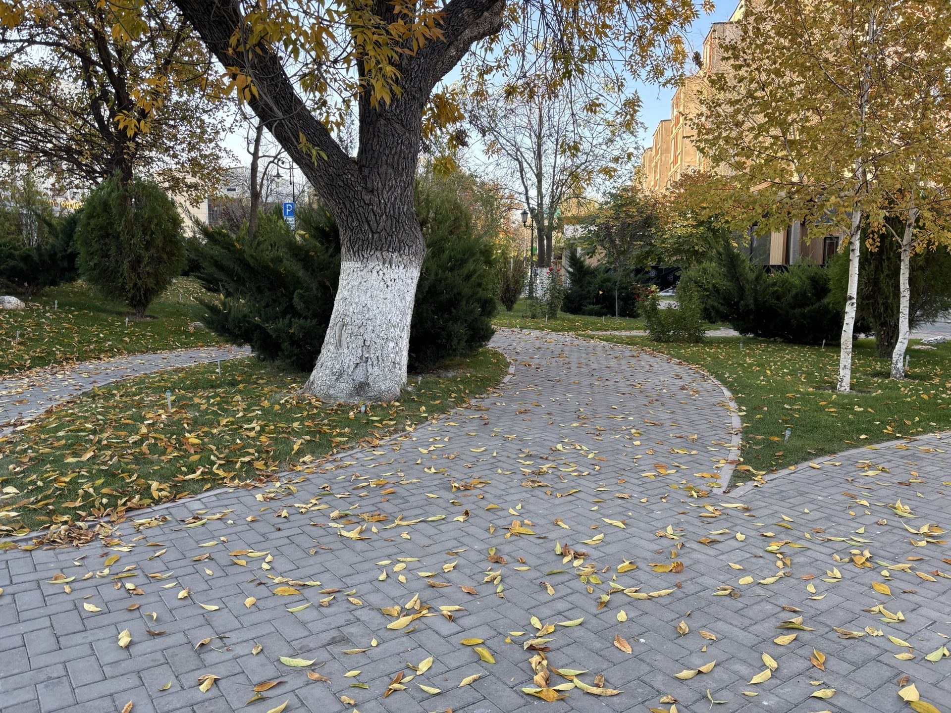 С утра классная погода и отличная прогулка