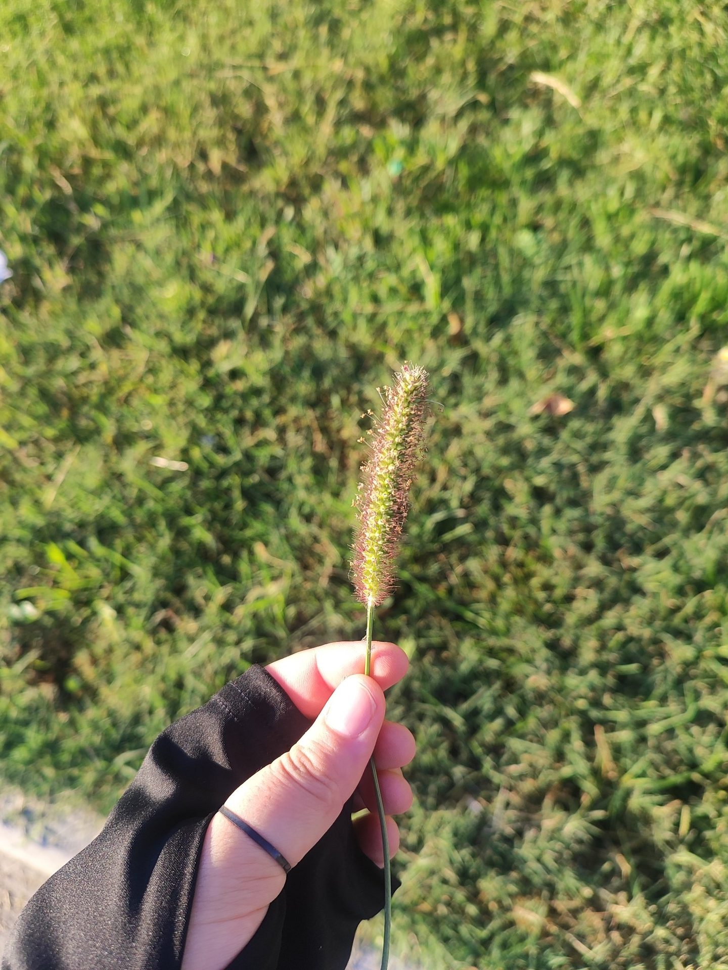 счастье на каждом шагу❤️