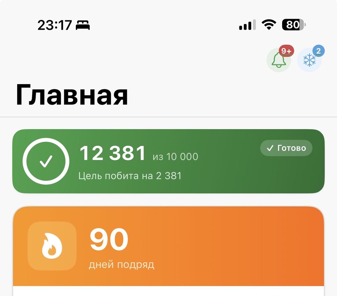 Акси сайругашт