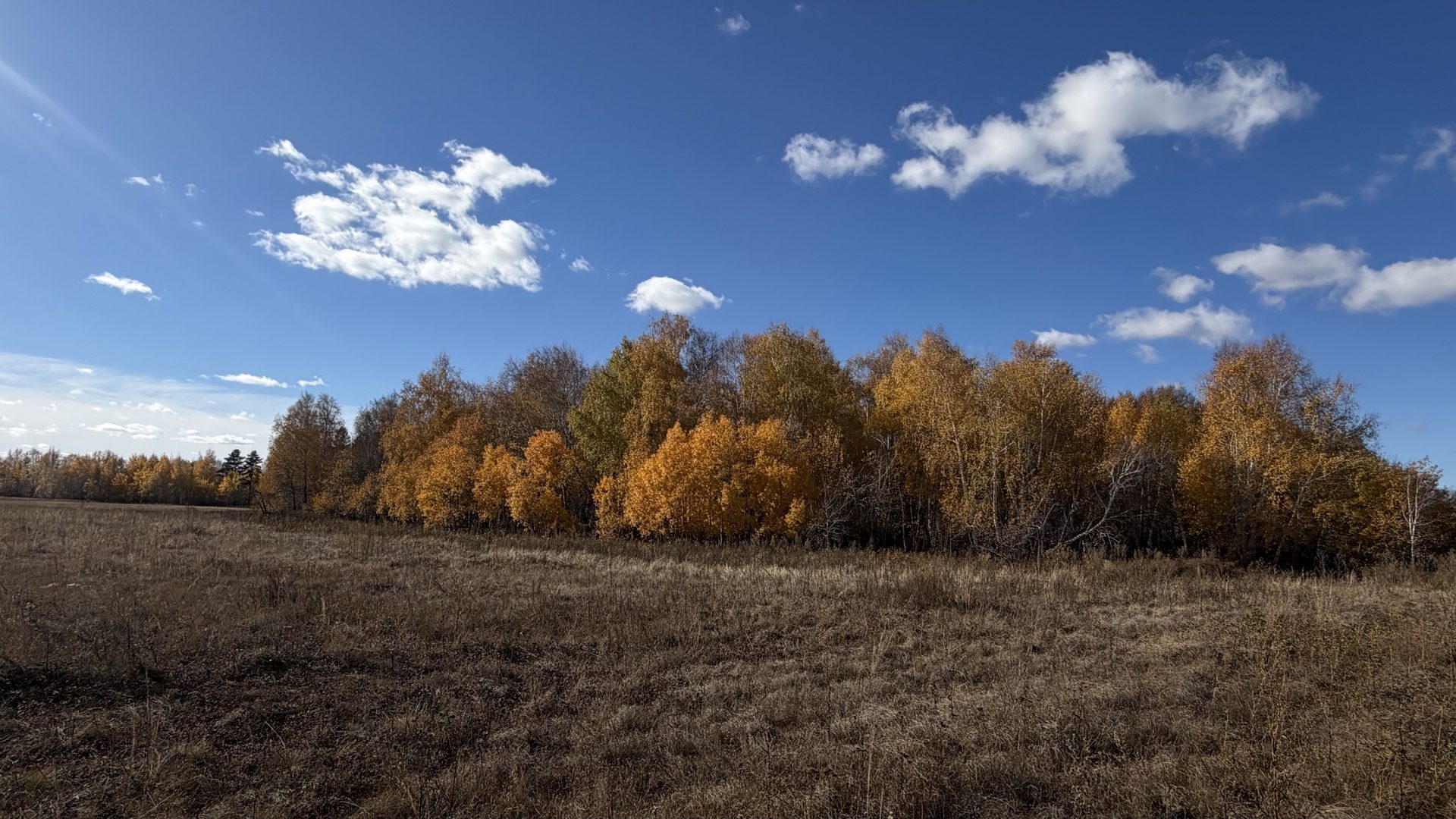 Прогулка