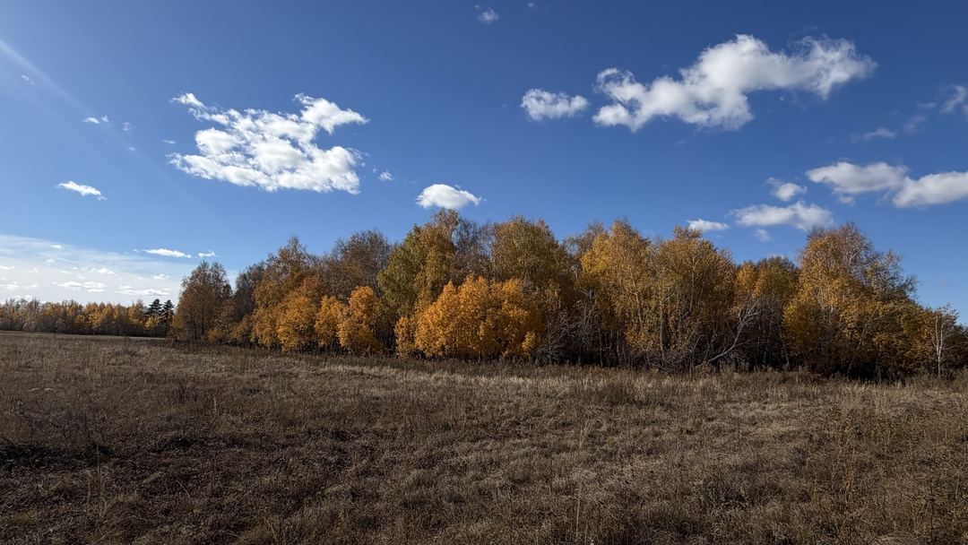 Прогулка
