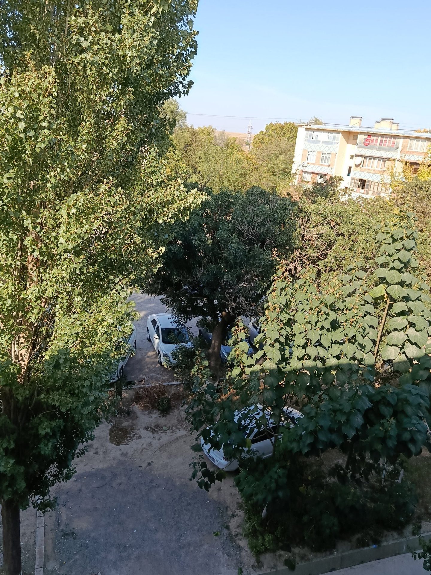 салам