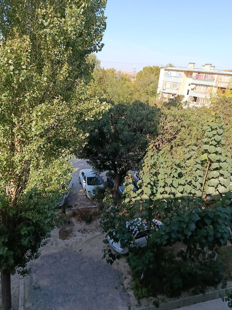 салам