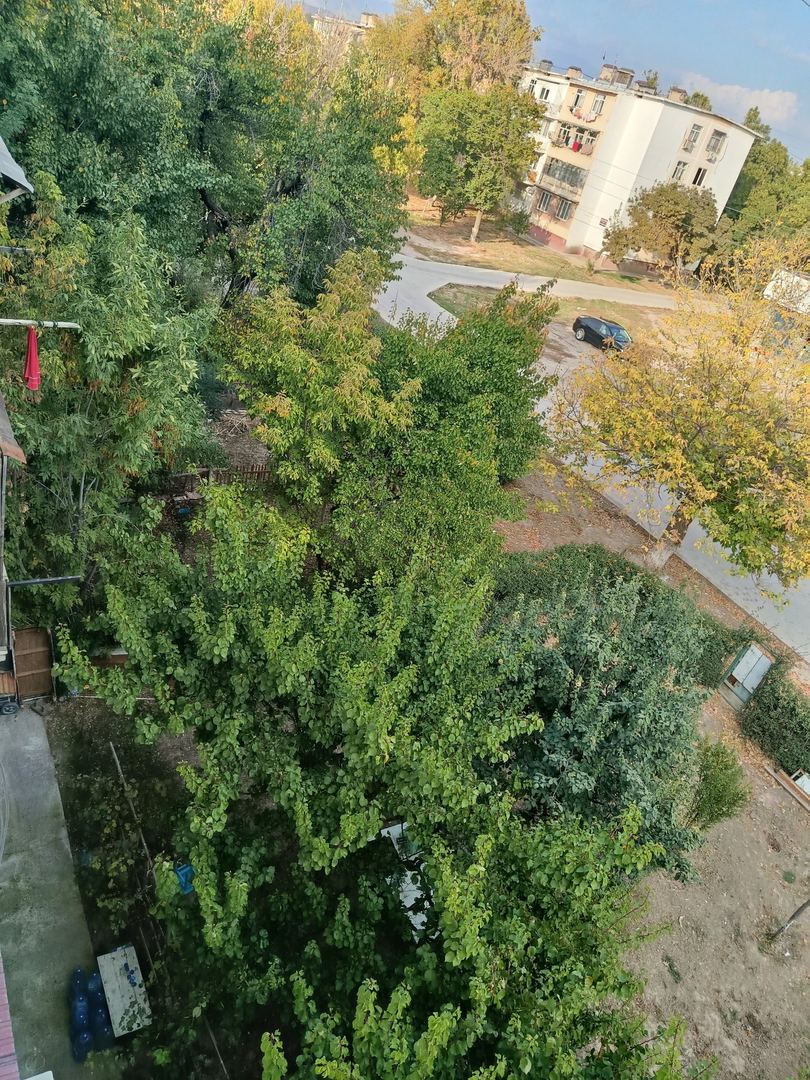 Sayr fotosi