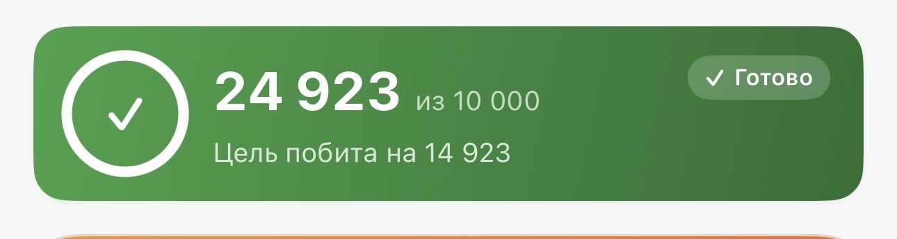 Акси сайругашт