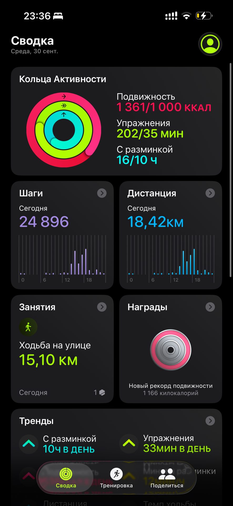 Акси сайругашт