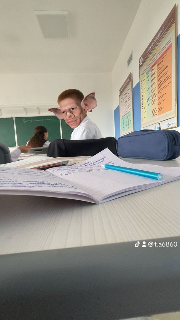 Акси сайругашт