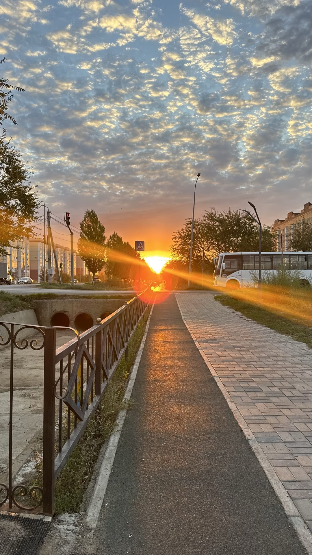 Сәйли сүрити