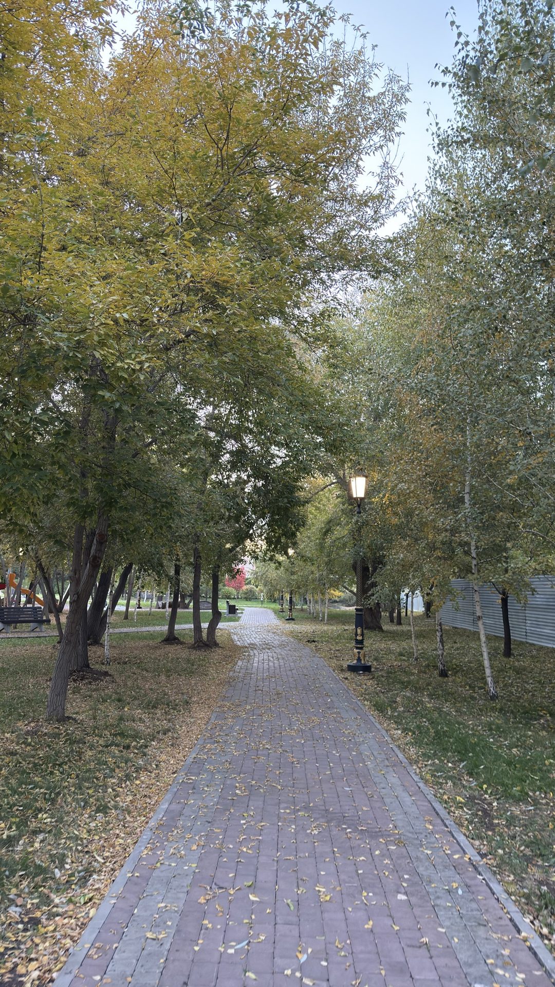 В Парке Триатлон.  8 день по 10000 шагов