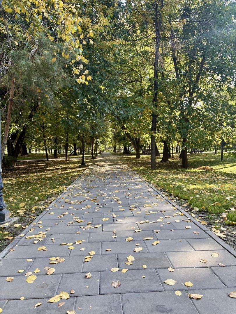 🍂