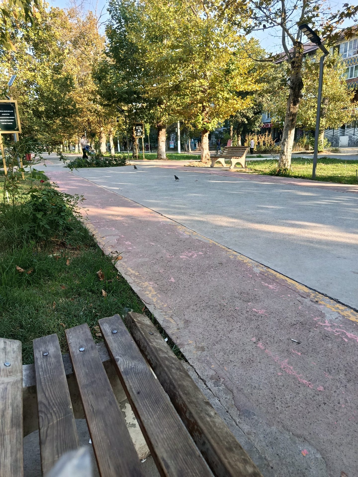 Walk photo