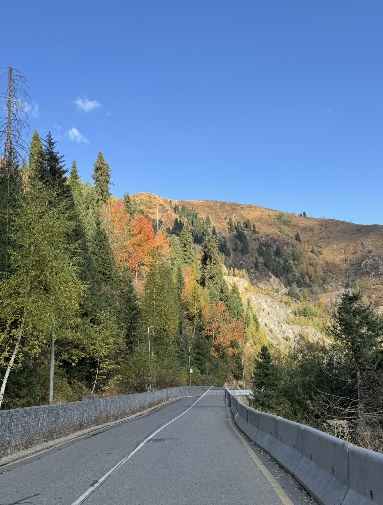 У осени в горах особый запах❤️⛰️