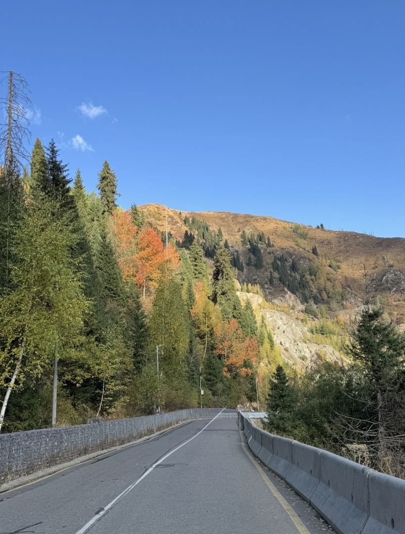У осени в горах особый запах❤️⛰️