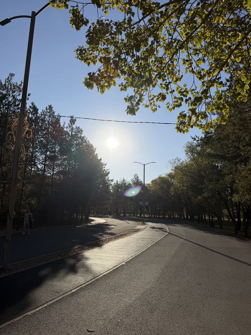 Доброе утро всем