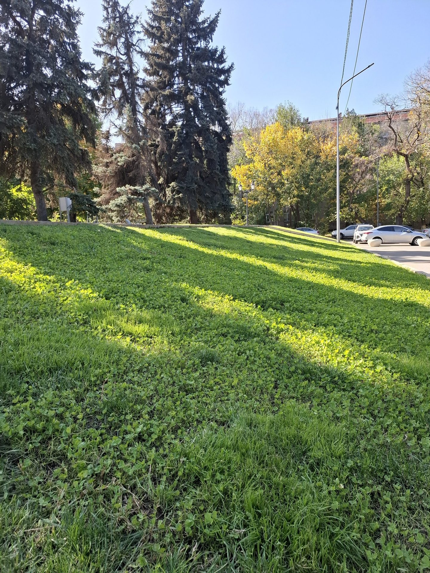 Серуен фотосы