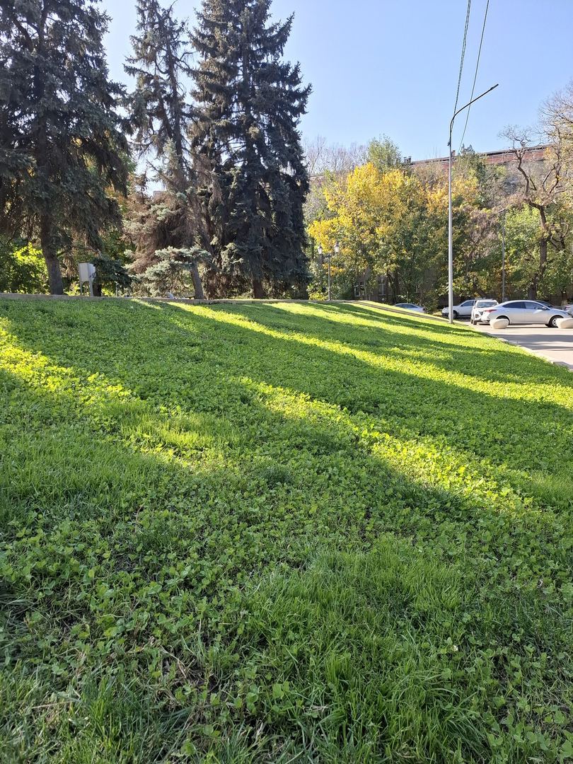 Серуен фотосы