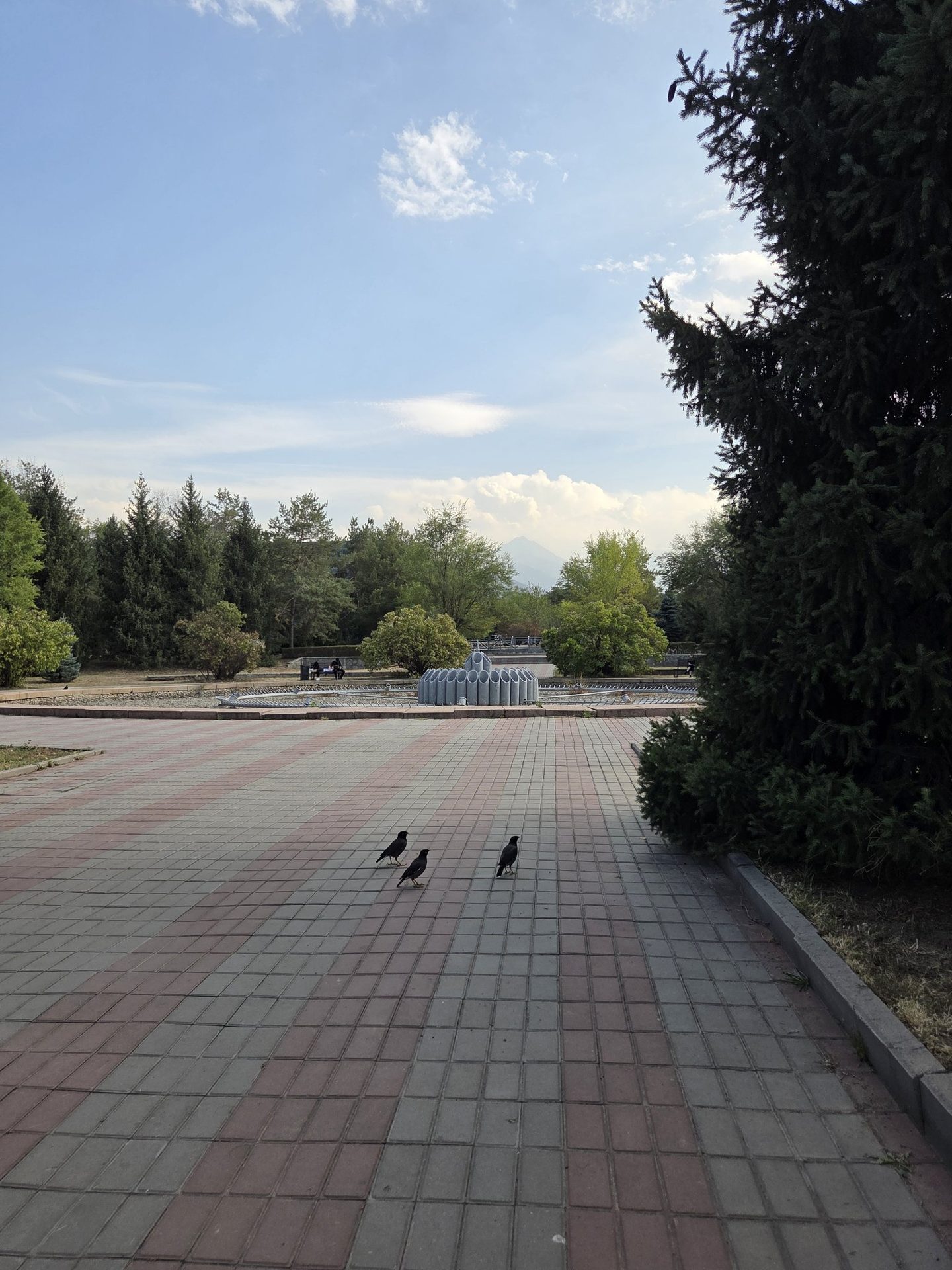 Акси сайругашт