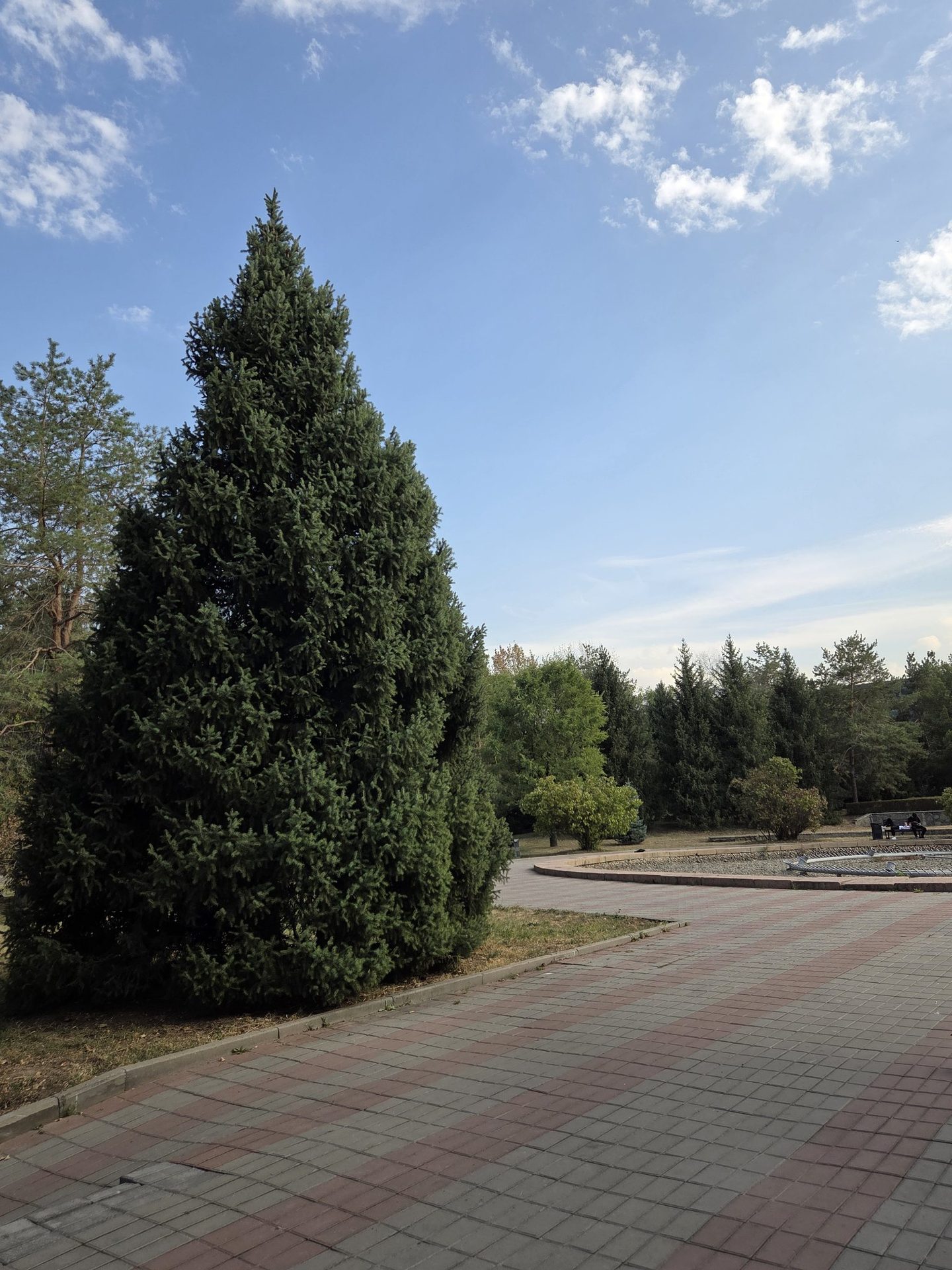 Акси сайругашт
