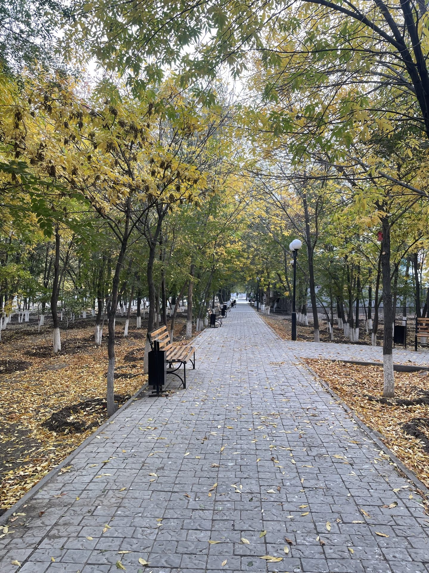 Осень