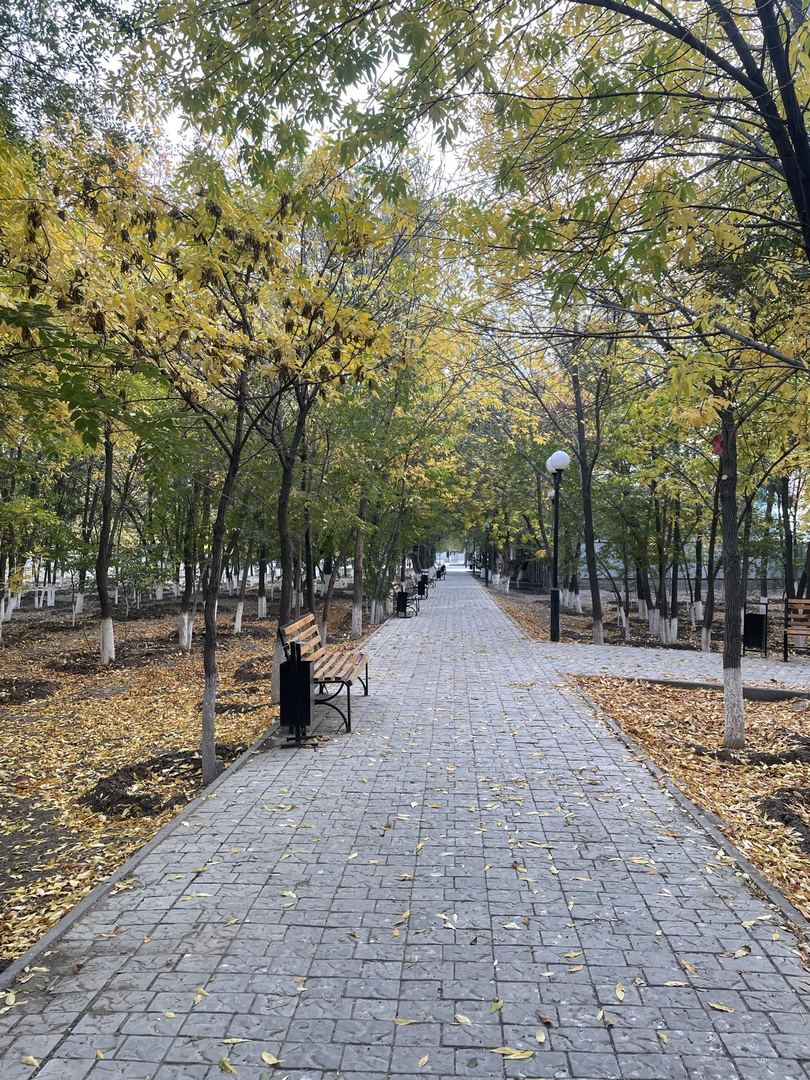Осень