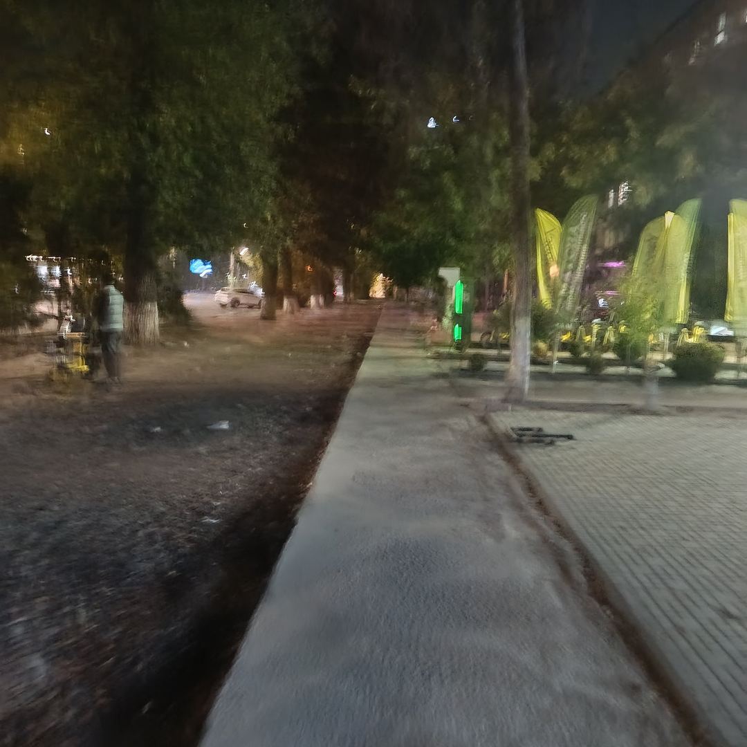 Сәйли сүрити