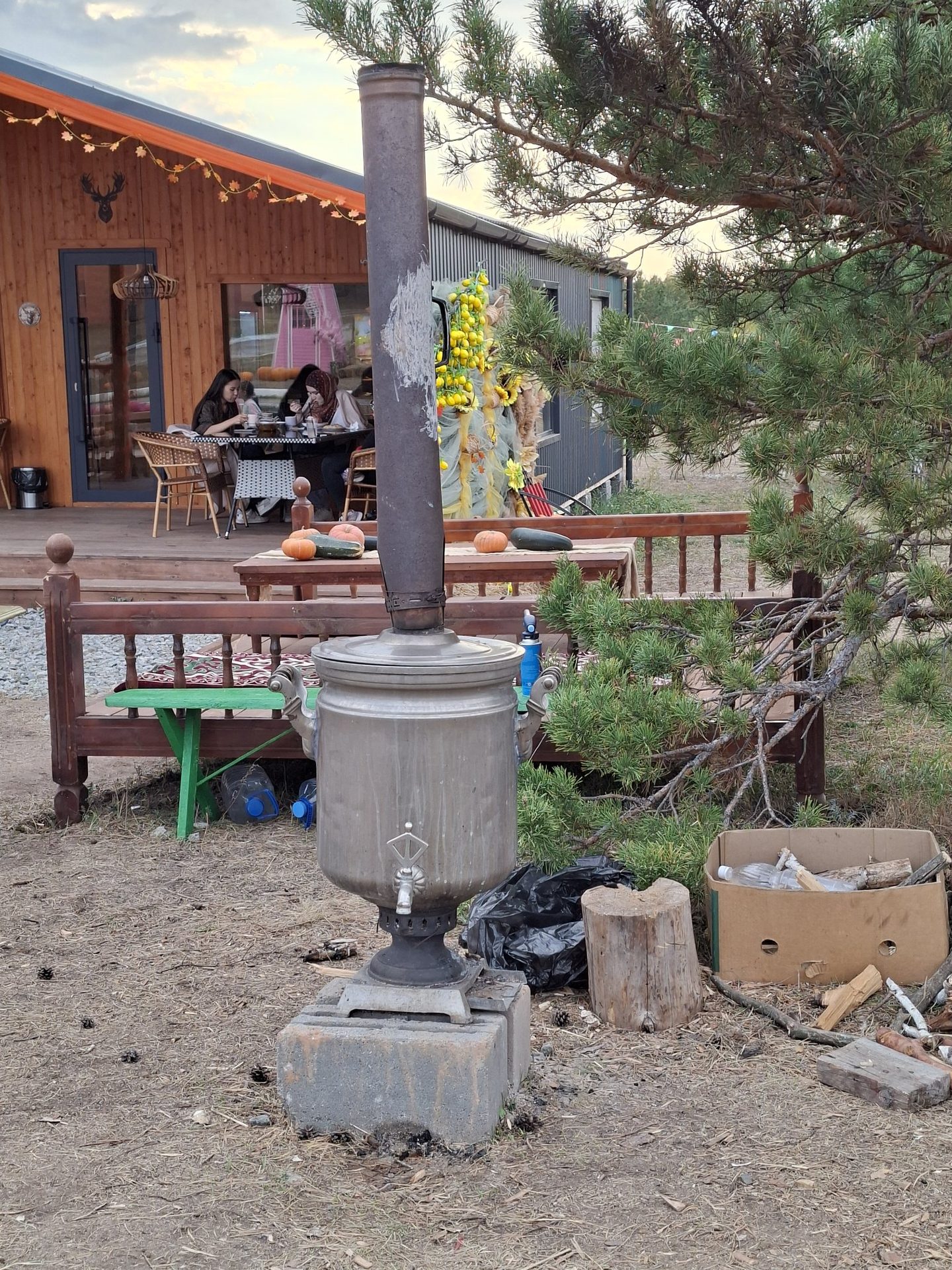 Сәйли сүрити