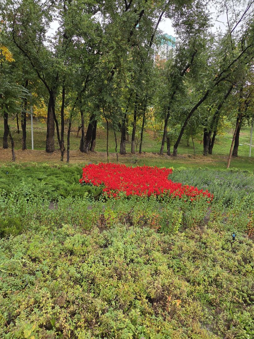 Супер прогулка ! Дождь КРАСОТА !🥰🥰🥰