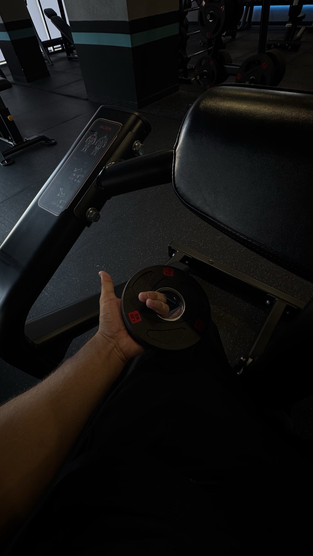 Gym (GOFIT) is just LIT 🔥